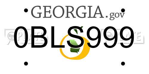 0BLS999 Georgia License Plate