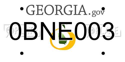 0BNE003 Georgia License Plate