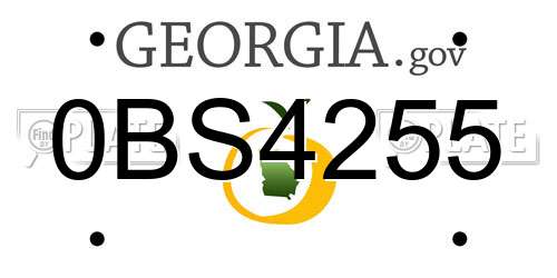 0BS4255 Georgia License Plate