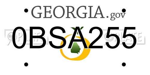 0BSA255 Georgia License Plate