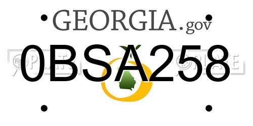 0BSA258 Georgia License Plate