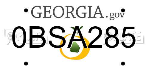 0BSA285 Georgia License Plate