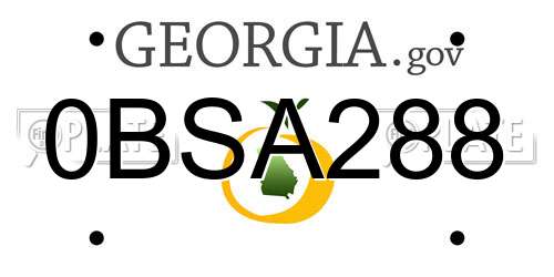 0BSA288 Georgia License Plate