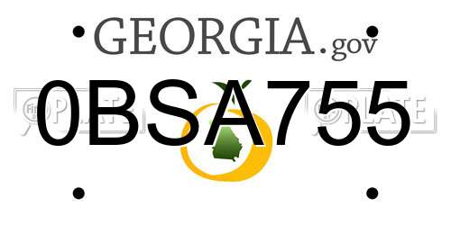 0BSA755 Georgia License Plate