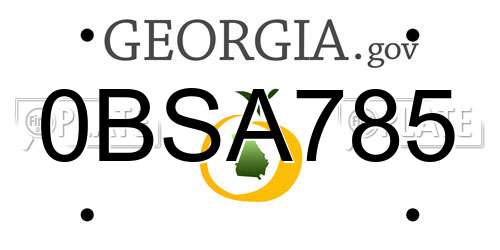 0BSA785 Georgia License Plate