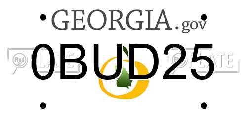 0BUD25 Georgia License Plate