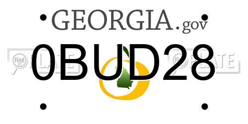 0BUD28 Georgia License Plate