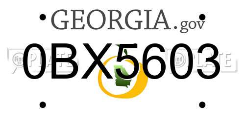 0BX5603 Georgia License Plate