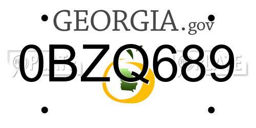 0BZQ689 Georgia License Plate