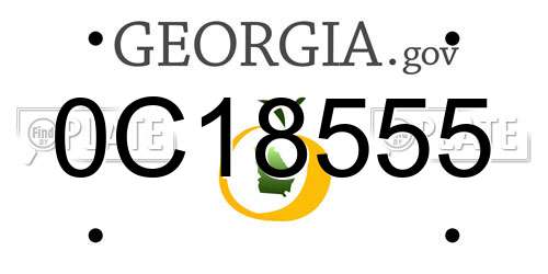 0C18555 Georgia License Plate