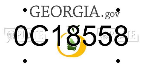 0C18558 Georgia License Plate