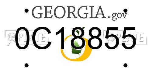 0C18855 Georgia License Plate
