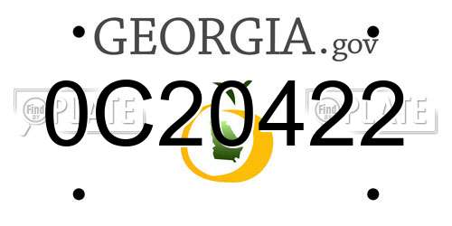 0C20422 Georgia License Plate