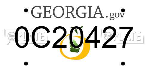 0C20427 Georgia License Plate