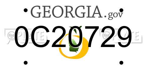 0C20729 Georgia License Plate