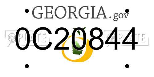 0C20844 Georgia License Plate