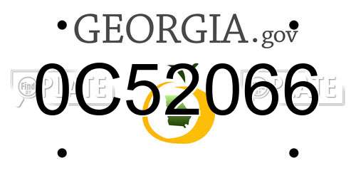 0C52066 Georgia License Plate
