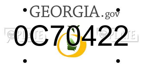 0C70422 Georgia License Plate