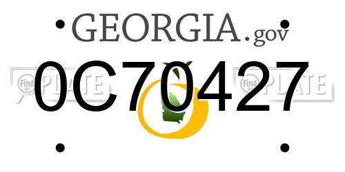 0C70427 Georgia License Plate