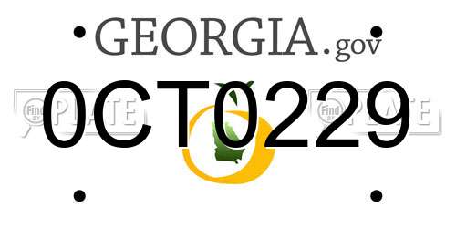 0CT0229 Georgia License Plate