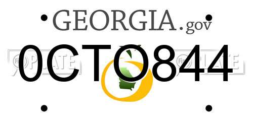 0CTO844 Georgia License Plate