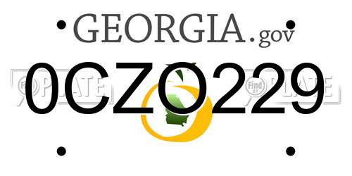 0CZO229 Georgia License Plate