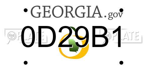 0D29B1 Georgia License Plate