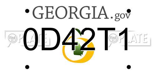 0D42T1 Georgia License Plate