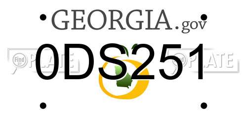 0DS251 Georgia License Plate