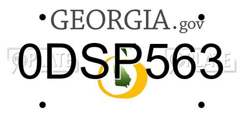 0DSP563 Georgia License Plate