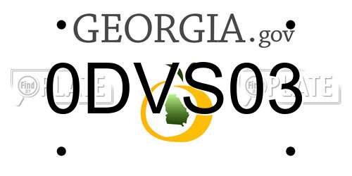 0DVS03 Georgia License Plate