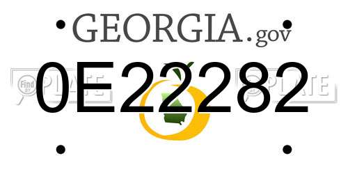 0E22282 Georgia License Plate