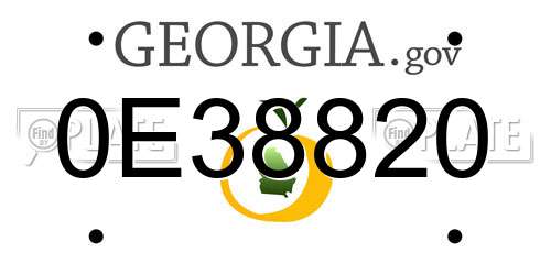0E38820 Georgia License Plate