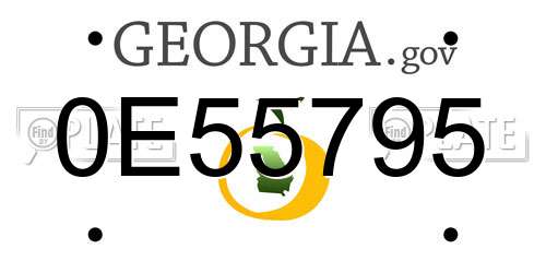 0E55795 Georgia License Plate