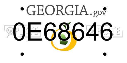 0E68646 Georgia License Plate