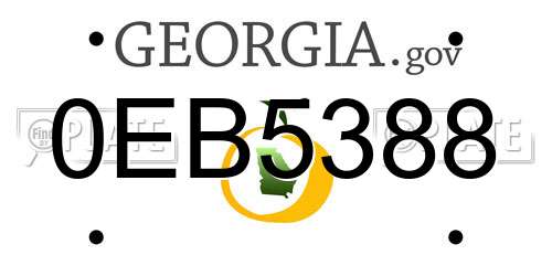 0EB5388 Georgia License Plate
