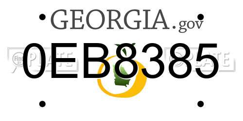 0EB8385 Georgia License Plate