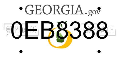 0EB8388 Georgia License Plate