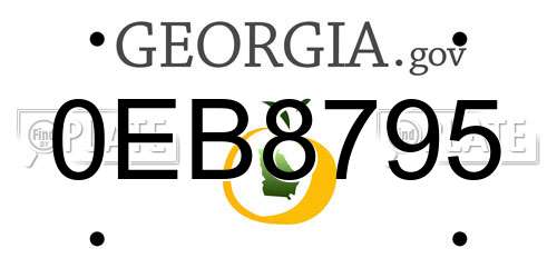 0EB8795 Georgia License Plate