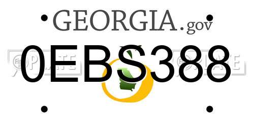 0EBS388 Georgia License Plate