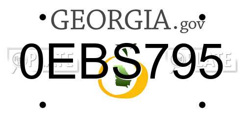 0EBS795 Georgia License Plate