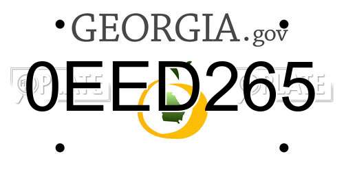 0EED265 Georgia License Plate
