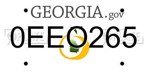0EEO265 Georgia License Plate