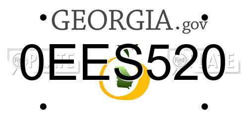0EES520 Georgia License Plate