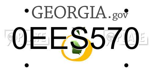 0EES570 Georgia License Plate