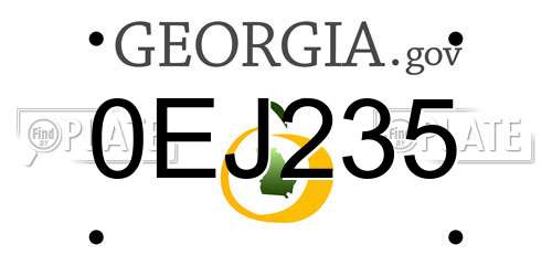 0EJ235 Georgia License Plate