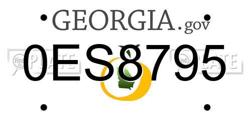 0ES8795 Georgia License Plate