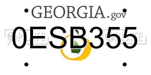0ESB355 Georgia License Plate