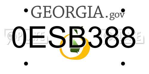 0ESB388 Georgia License Plate