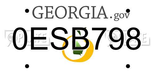 0ESB798 Georgia License Plate